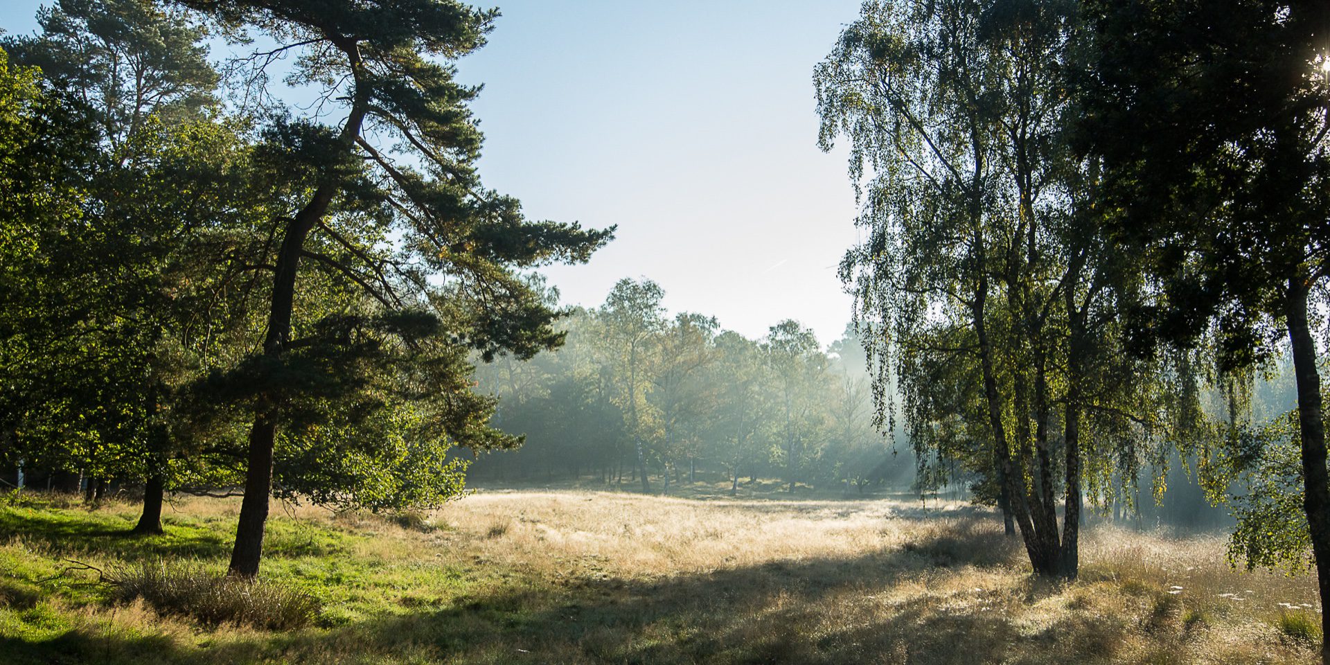 Drieklomp Makelaars en Rentmeesters