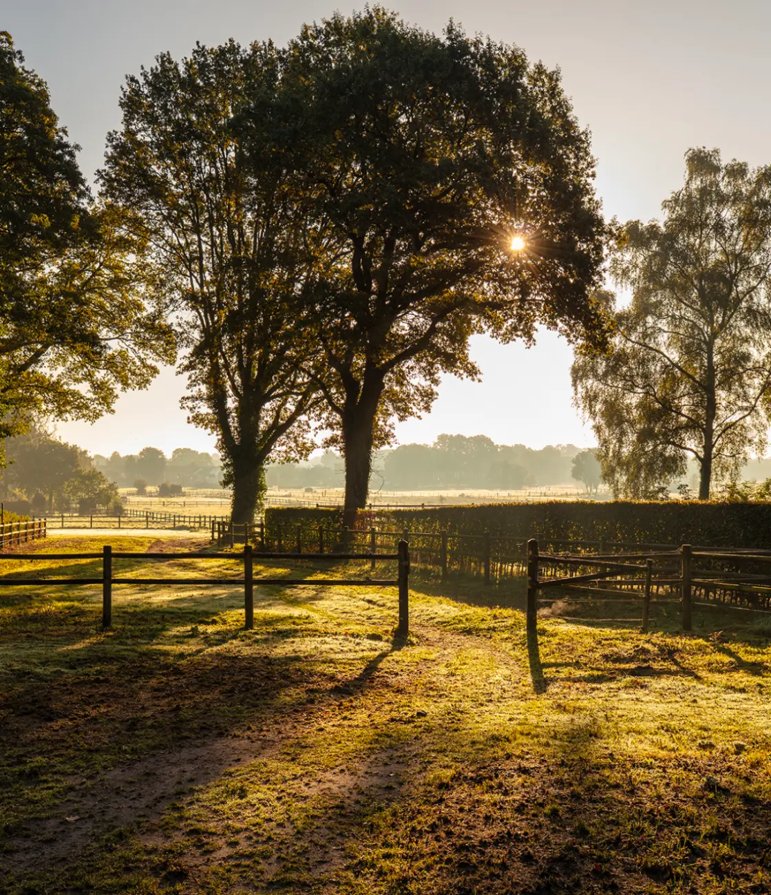 Foto van Nijverdal met bomen en de zon