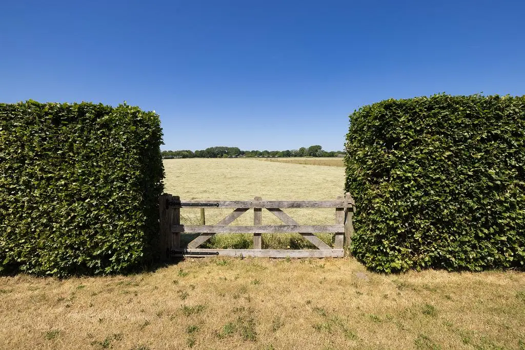 Renswoude Dijkje weiland - Drieklomp Makelaars Zeist